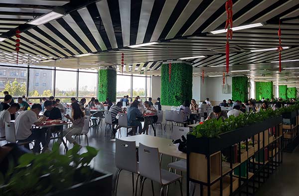 食堂用餐环境.jpg